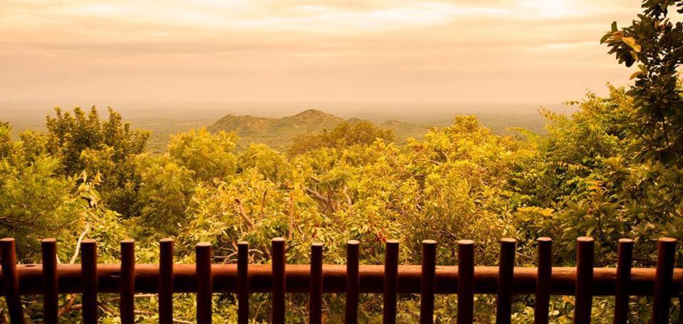 Amafu Forest Lodge Hoedspruit Exterior photo