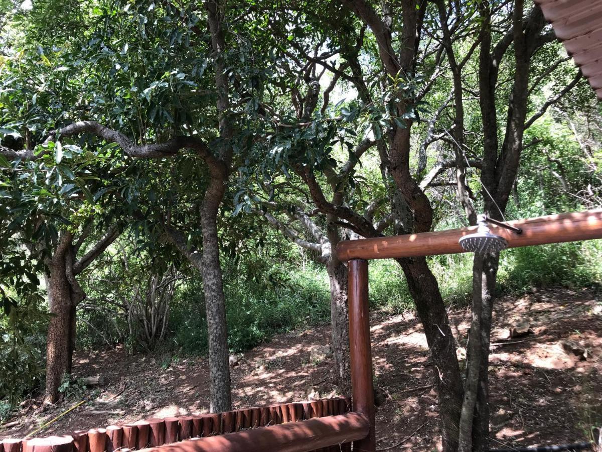Amafu Forest Lodge Hoedspruit Exterior photo